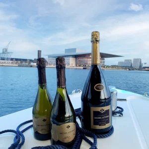 Champagne – 1 magnum bottle